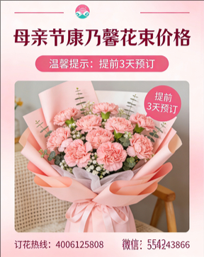 九江武宁县花店母亲节康乃馨花束