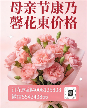 九江武宁县花店母亲节康乃馨花束